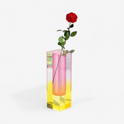 Modern Acrylic Cuboid Flower Vase